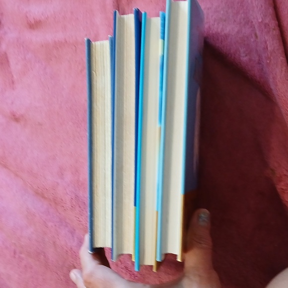 Danielle Steel Book Collection - Picture 3 of 3